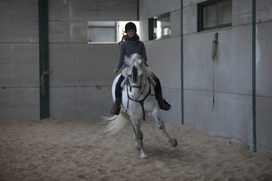 Los caballos de Isabel, fotogalería Lab.RtvE.es