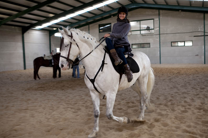 Los caballos de Isabel, fotogalería Lab.RtvE.es