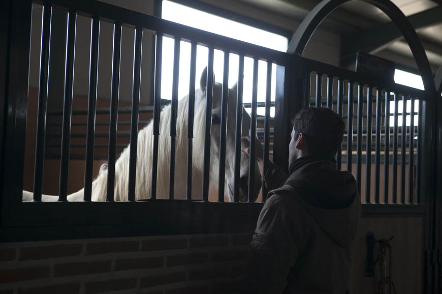 Los caballos de Isabel, fotogalería Lab.RtvE.es